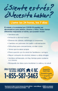 idd mental health spanish flyer